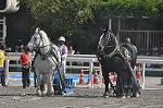 Dcim10521/DSC_2114