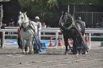 Dcim10521/DSC_2115