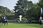 Dcim10522/DSC_2233