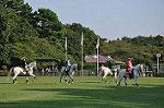 Dcim10522/DSC_2303