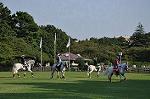 Dcim10522/DSC_2304