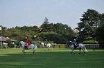 Dcim10522/DSC_2312