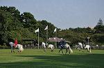 Dcim10522/DSC_2316