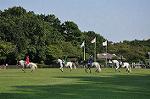 Dcim10522/DSC_2318