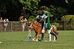 Dcim10523/DSC_2345