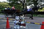 Dcim10523/DSC_2402