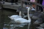 Dcim10523/DSC_2428