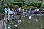 Dcim10523/DSC_2448