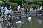 Dcim10523/DSC_2449