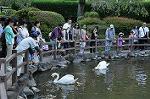 Dcim10523/DSC_2450