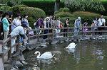 Dcim10523/DSC_2452