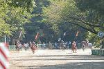 Dcim10524/DSC_7084