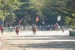 Dcim10524/DSC_7085