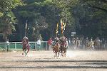 Dcim10524/DSC_7098