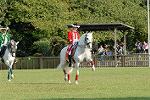 Dcim10525/DSC_7177