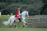 Dcim10525/DSC_7197