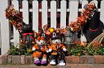 Dcim10527/DSC_2655