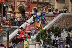 Dcim10528/DSC_2776