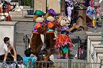 Dcim10528/DSC_2799