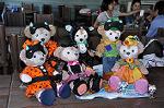 Dcim10530/DSC_3034