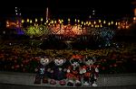 Dcim10531/DSC_3226