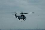 Dcim10533/DSC_4638
