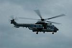 Dcim10534/DSC_4816