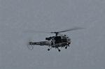 Dcim10536/DSC_3442
