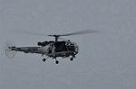 Dcim10536/DSC_3446