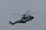 Dcim10536/DSC_3461