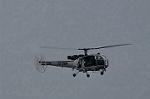 Dcim10536/DSC_3494