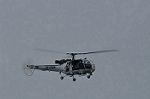 Dcim10536/DSC_3495