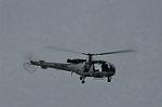 Dcim10536/DSC_3501