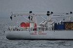 Dcim10537/DSC_3544