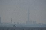 Dcim10540/DSC_4126