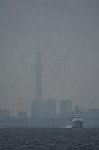 Dcim10541/DSC_4134