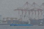 Dcim10541/DSC_4154