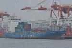 Dcim10541/DSC_4156