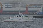 Dcim10541/DSC_4196