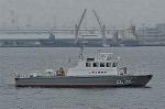 Dcim10541/DSC_4229