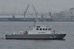 Dcim10541/DSC_4232