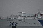 Dcim10542/DSC_4334