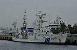 Dcim10543/DSC_4501