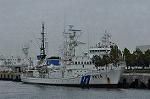 Dcim10543/DSC_4526