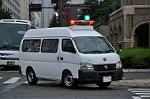 Dcim10543/DSC_4558