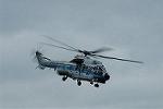 Dcim10545/DSC_7342