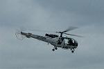 Dcim10546/DSC_7385