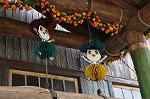 Dcim10548/DSC_4695