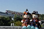 Dcim10559/DSC_6230
