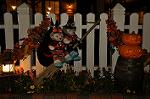 Dcim10561/DSC_6564